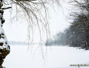 Frozen Lake 1