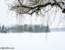 Frozen Lake 2