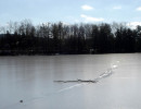 Frozen Lake