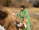 Gwynedd Gathering Herbs