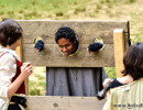 In the Stocks