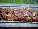 Shishkabobs