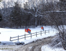 Winter Flags