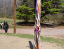 May Pole 3