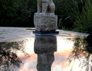 Statue Reflection