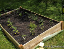 Herb Garden