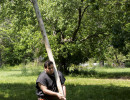 Caber Toss